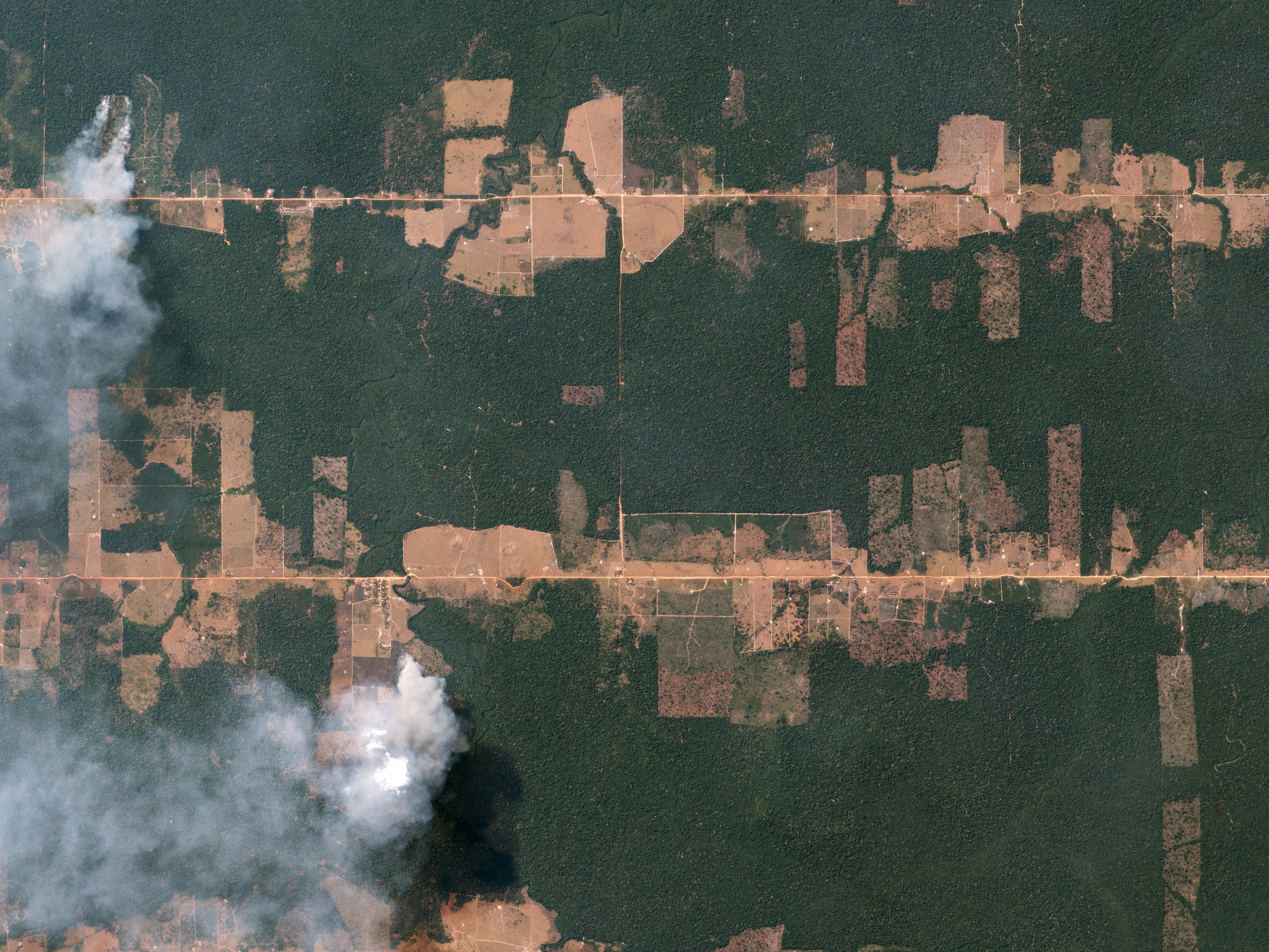 fishbone_deforestation_rondonia_brazil_by_planet_labs