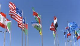 flags-international