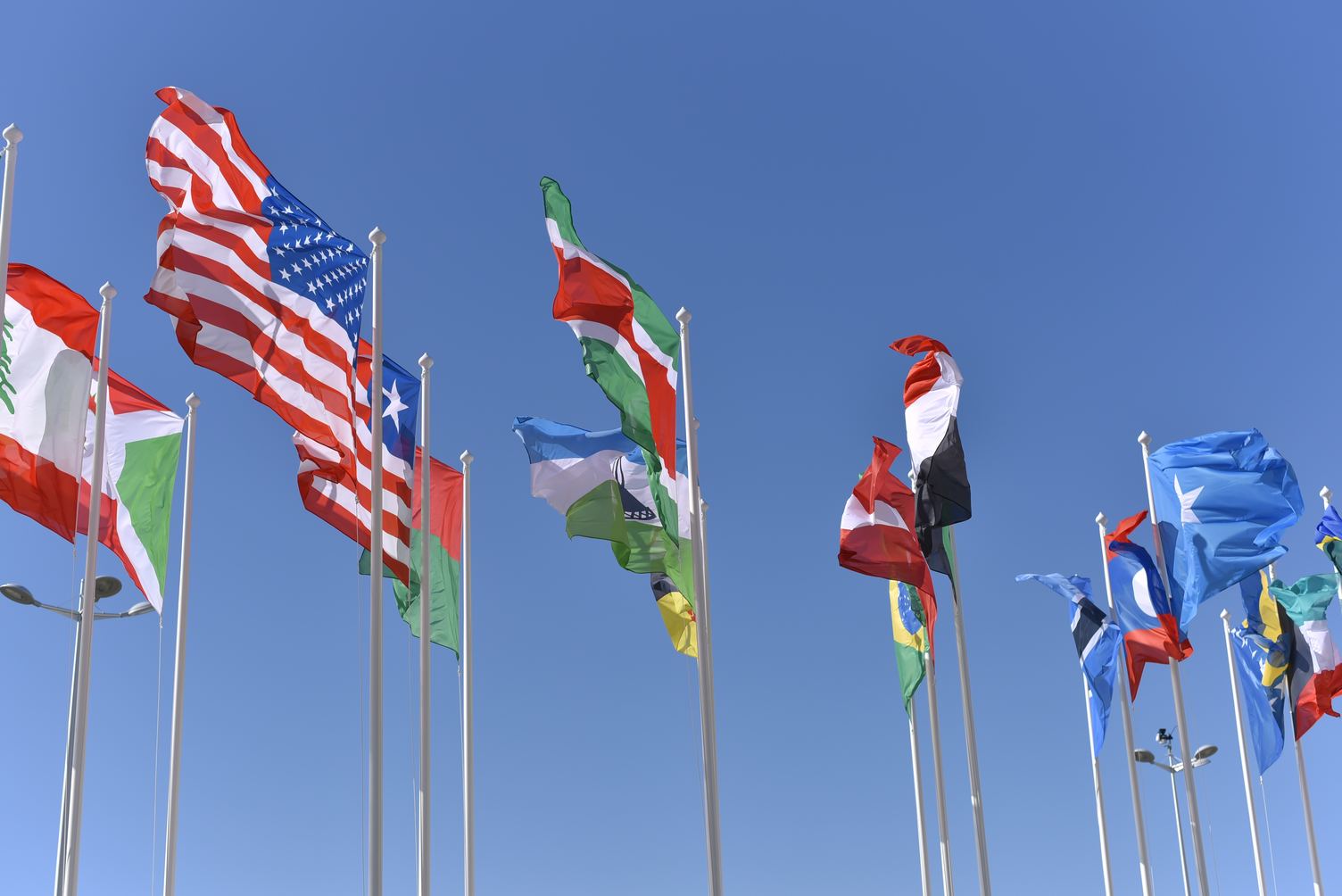 flags-international