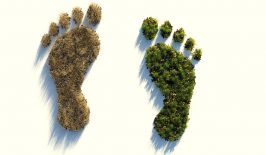 ecological-footprint-4123696_1280