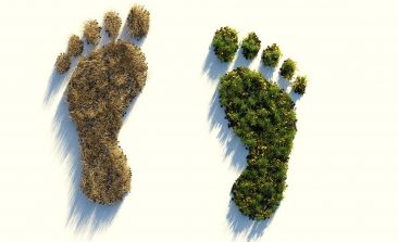 ecological-footprint-4123696_1280