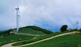 wind-energy-green-forecast