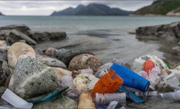 plastic-litter-sea