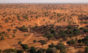 trees-in-sahel-discovered-desert
