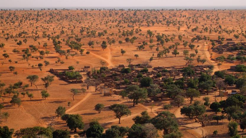 trees-in-sahel-discovered-desert