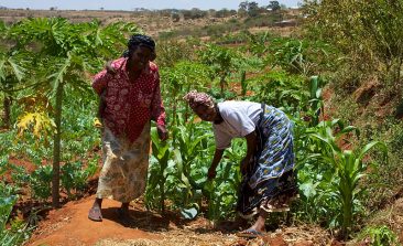 800px-women_smallholder_farmers_in_kenya