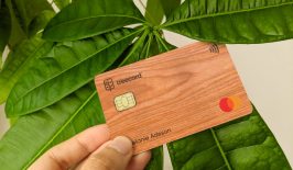 treecard-wooden-credit-card-ecosia