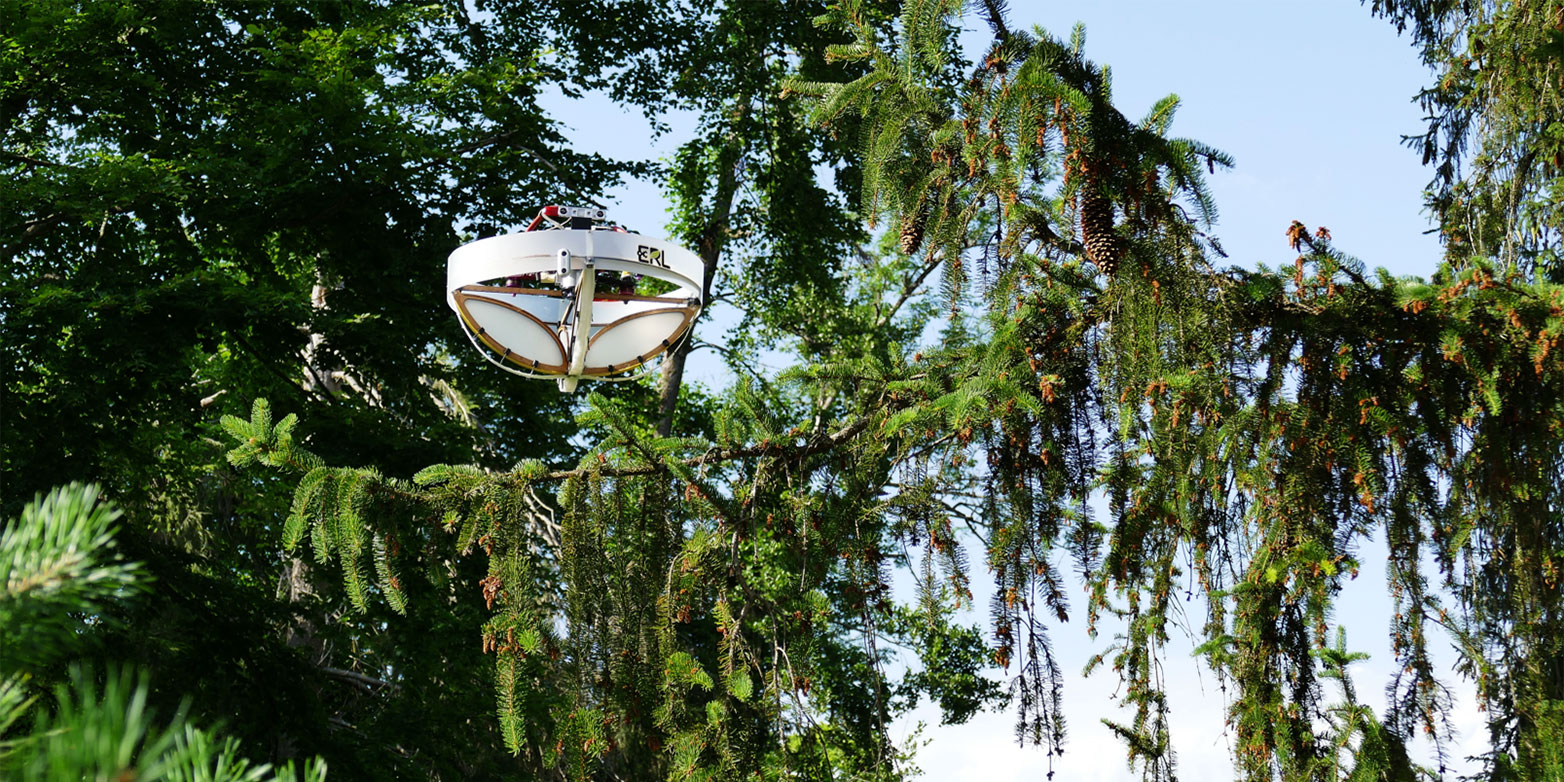 A once-remote patch of rainforest is now packed with migrants