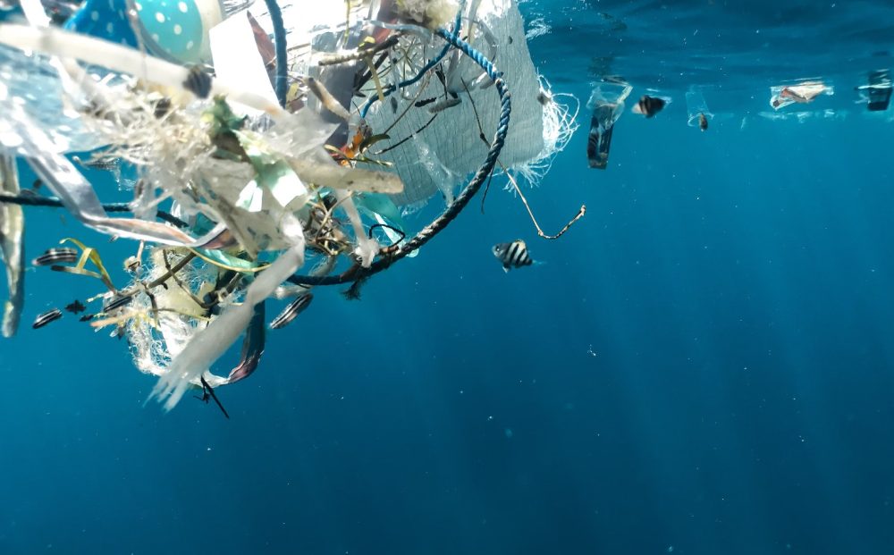 ocean plastic in the ocean monitored with the help of citizen science