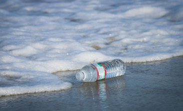 plastic water bottle on beach