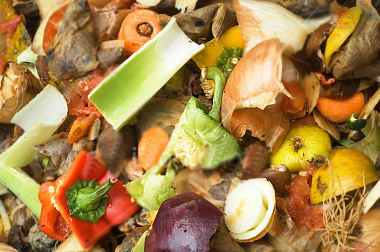 Food waste